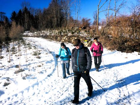 Naturfreunde-Wanderung auf den Geisbühel