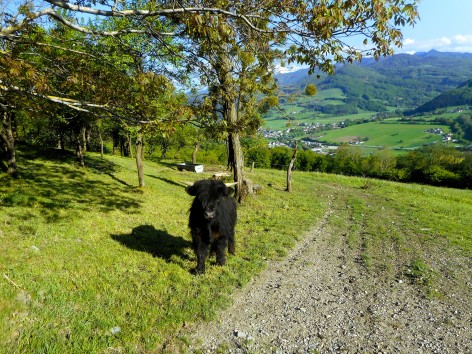 Naturfreunde-Wanderung zur Stockerhütte