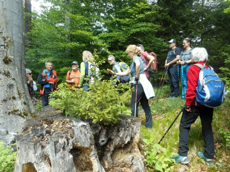 Naturfreunde-Wanderung zum Lorenzipechkogel