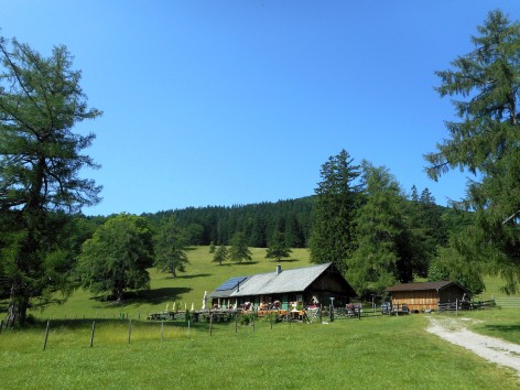 Naturfreunde-Wanderung auf die Reisalpe
