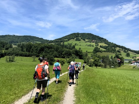 Naturfreunde-Wanderung zum Marienstein 