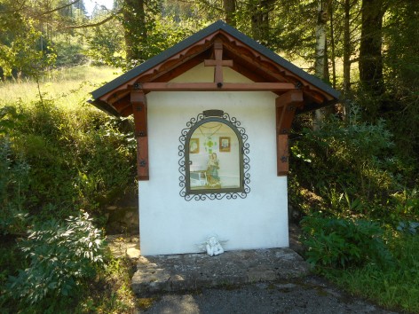Naturfreunde-Wanderung auf den Geißenberg am 05.07.2025