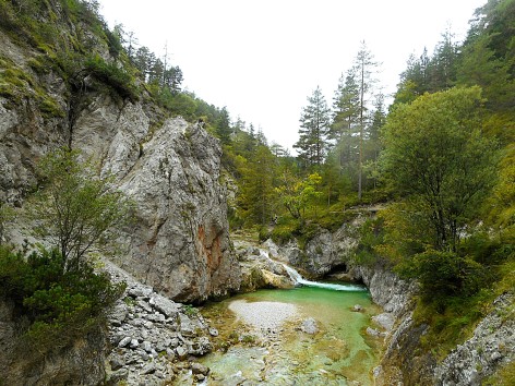 Naturfreunde-Wanderung zur Jausenstation Ötscherhias am 23.09.2025