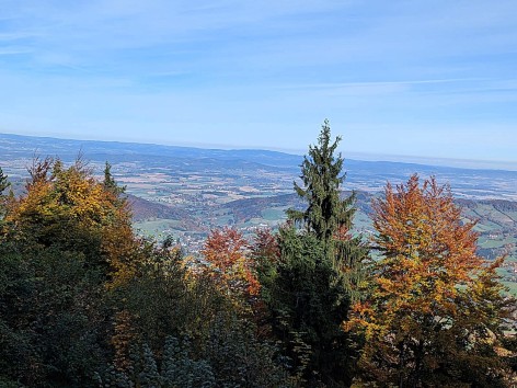 Naturfreunde-Wanderung zur Gr&uuml;ntalkogelh&uuml;tte am 19.10.2025