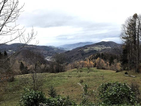 Naturfreunde-Wanderung zur Traisner H&uuml;tte am 09.11.2025