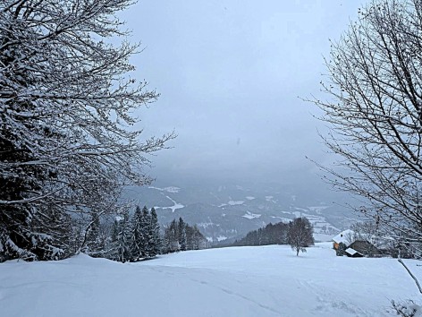 Naturfreunde-Wanderung zur Teichh&uuml;tte am 22.11.2025