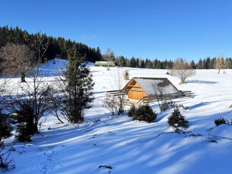 Neujahrswanderung zur Zdarskyh&uuml;tte mit den Naturfreunden am 3. J&auml;nner