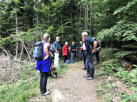 Naturfreunde-Wanderung auf den Schöpfl am 21.05.2026