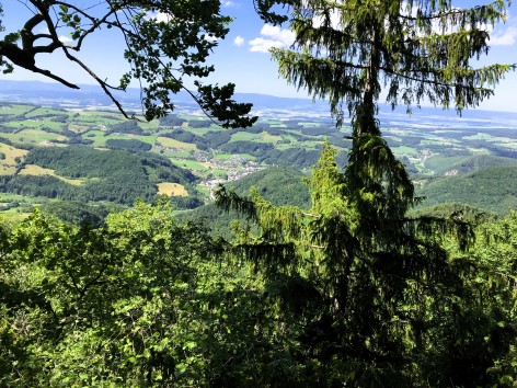 Naturfreunde-Wanderung auf den Geisb&uuml;hel am 28.05.2026