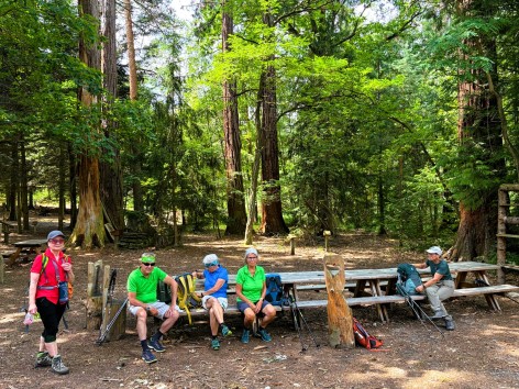 Naturfreunde-Wanderung zu den Mammutb&auml;umen am 23.06.2026