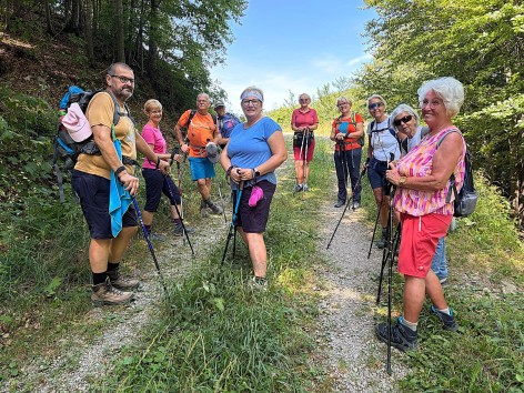 Naturfreunde-Wanderung zum Almgasthaus Billensteiner am 25.07.2026