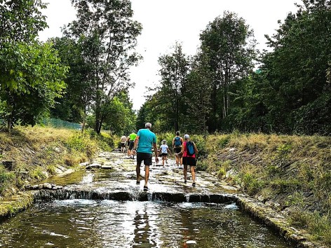 Naturfreunde-Familien-Bachwanderung im Wiesenbach am 31.07.2026