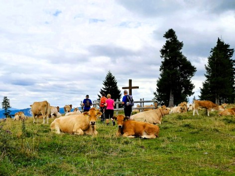 Naturfreunde-Wanderung auf den Rainstock am 23.08.2026