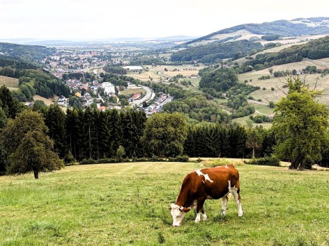 Naturfreunde-Wanderung auf den Kaiserkogel am 03.09.2026